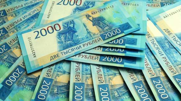 Read more about the article Webbankir: студентам в России в первом полугодии стали чаще одобрять займы