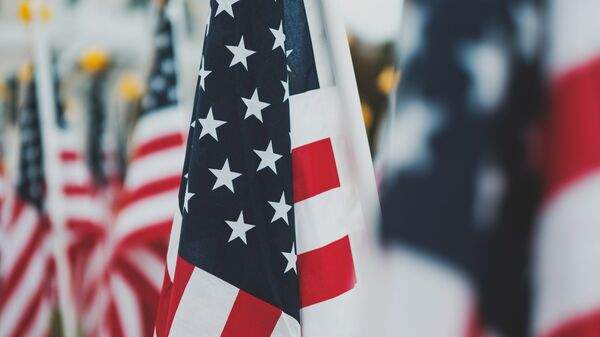 Read more about the article Дэвис: НАТО саботирует мирный план США по Украине