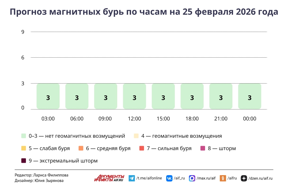 Read more about the article Прогноз магнитных бурь по часам на 25 февраля 2026 года. Инфографика