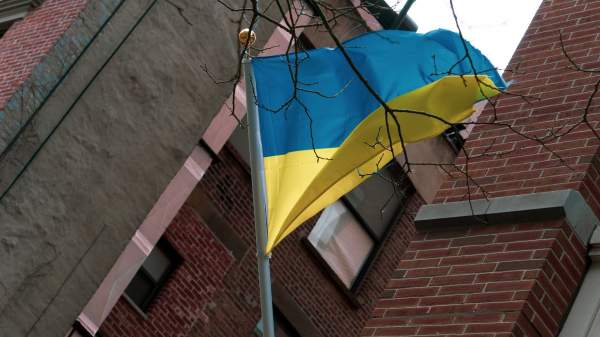 Read more about the article Мендель: украинские власти бросают своих граждан на произвол судьбы